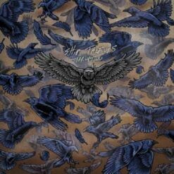 Ship Thieves <br> Irruption - LTD (LP)