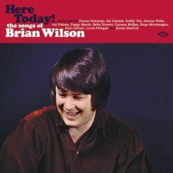 Various <br> Here Today! the Songs of Brian Wilson (LP)