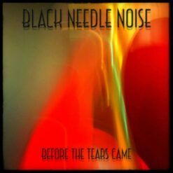 Black Needle Noise <br> Before The Tears Came (LP)