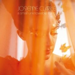 Josienne Clarke <br> A Small Unknowable Thing (LP)