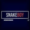 Snakeboy<br> Since You Been Gone (LP)