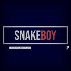 Snakeboy<br> Since You Been Gone (LP)
