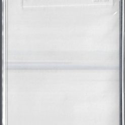 Foo Fighters<br>But Here We Are (MC)