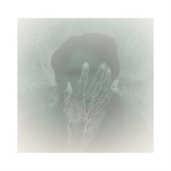 Kambodsja <br> Stranger (LP)