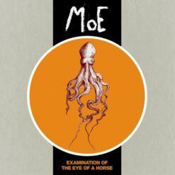 MoE <br> The Examination Of The Eye Of A Horse (LP)