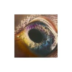 Arcade Fire <br> We (LP)