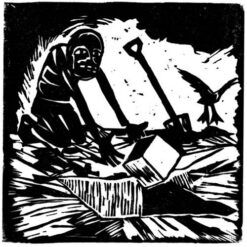 Æ & Dem <br> Gjendødsligheta (LP)