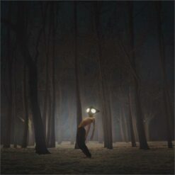 Geese <br> Projector (LP)