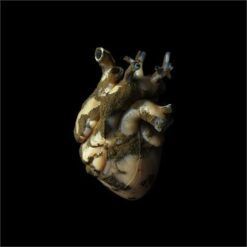 Highasakite <br> Uranium Heart (LP)