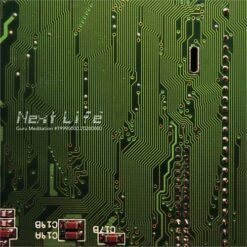 Next Life <br> Guru Meditation (LP)