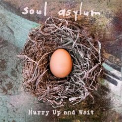 Soul Asylum <br> Hurry Up and Wait (2LP)