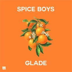 Spice Boys <br> Glade (LP)