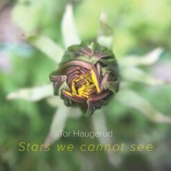 Tor Haugerud <br> Stars We Cannot See - Signert (LP)