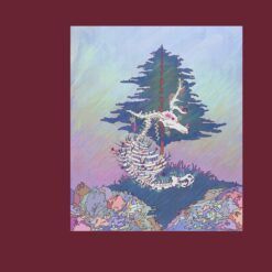 Nagirčalmmiid <br> Down To The Bone (LP)