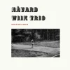 Håvard Wiik Trio <br> This is not a Waltz (LP)