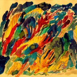 MMO-Ensemble <br> Any Day Now (LP)