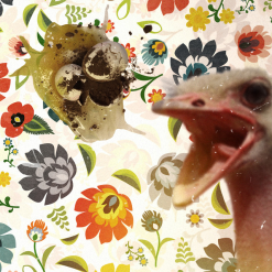 SOT <br> Kogel Mogel (LP)