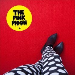 The Pink Moon <br> Let The Devil Take Tomorrow (LP)