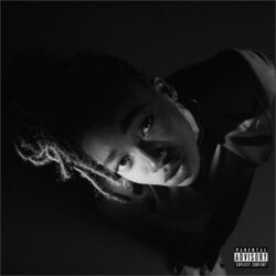 Little Simz <br>
Grey Area (LP)