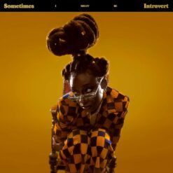 Little Simz <br>
Sometimes I Might Be Introvert - LTD (2LP)