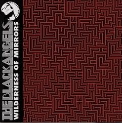 The Black Angels <br> Wilderness Of Mirrors (2LP)