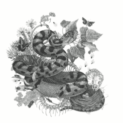 Stian Westerhus & Maja S. K. Ratkje <br> All Losses Are Restored - LTD (LP+CD)