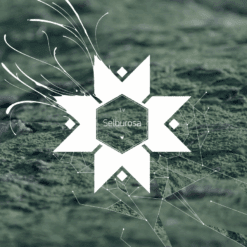 TV <br> Selburosa (10")