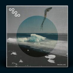 Frioms.org <br> Go Go Go (LP)