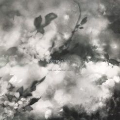 Exitmusic <br> The Recognitions (LP)