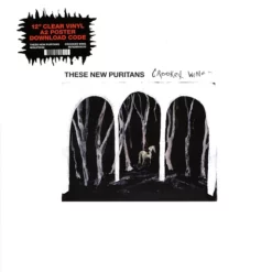 These New Puritans <br>
Crooked Wing - LTD (LP)