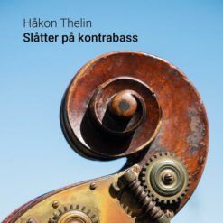 Håkon Thelin <br>
Slåtter På Kontrabass - LTD (LP)