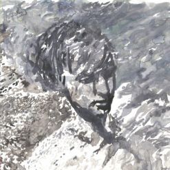 Erlend Albertsen Basspace <br> Name Of The Wind (LP)