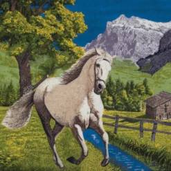 Heather Trost <br> Petrichor (LP)