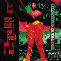 2Pac <br> Strictly 4 My N.I.G.G.A.Z... (2LP)