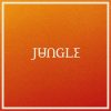 Jungle <br>
Volcano (LP)