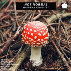 Not Normal <br>
Modærn Qualitet (LP)