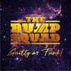 The Bump Squad <br>
Guilty As Funk (2LP)