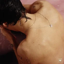 Harry Styles <br>
Harry Styles (LP)