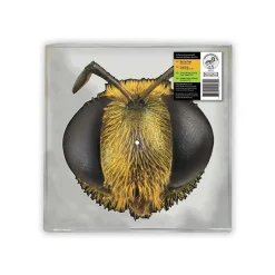 King
  Gizzard & The Lizard Wizard <br> Big Fig Wasp (BEE/BUG SHAPED
  VINYL) (LP)